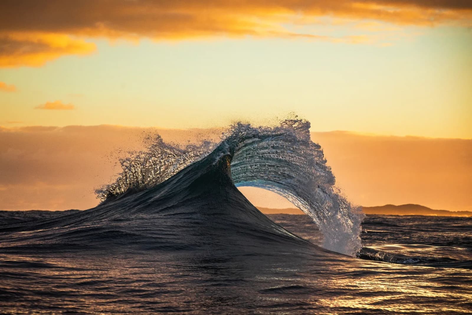 Procurement, Premises and Expenditures System.webp